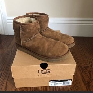 Mini classic ugg in chestnut